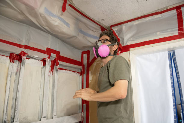 Mold Removal for HVAC Installations in Culloden, WV